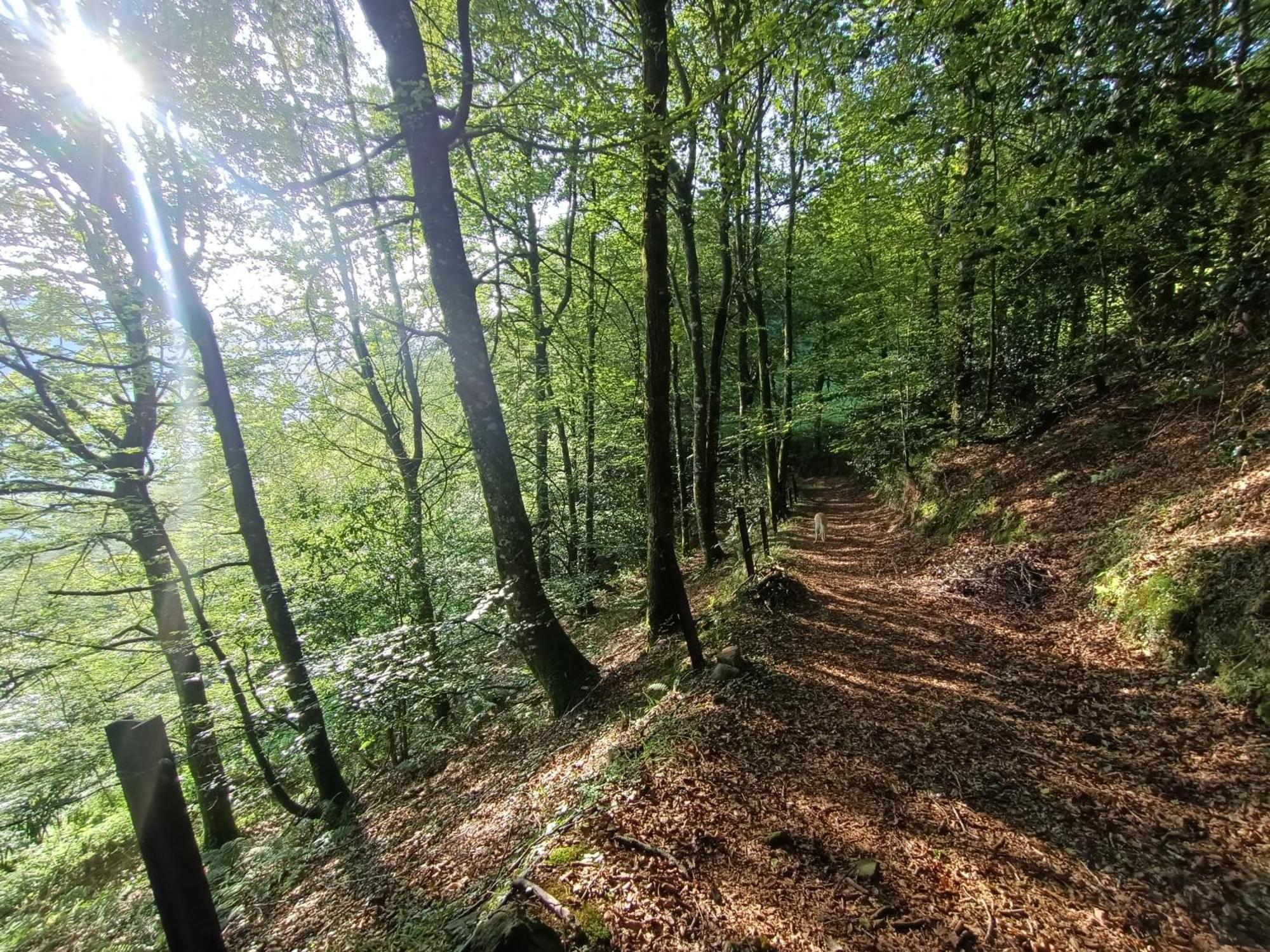 La Cabana Mirador De Los Valles Pasiegos Vega de Pas Kültér fotó